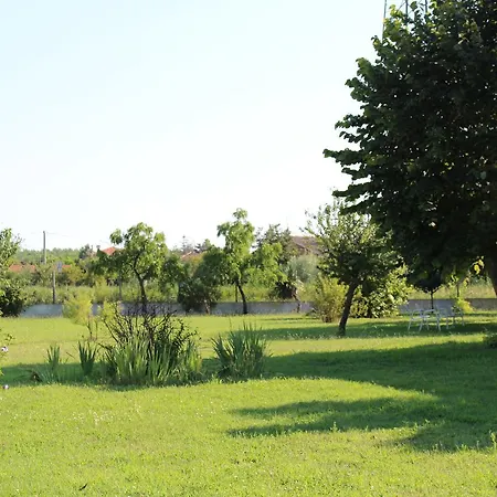 Marelaguna